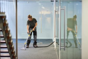 Professional Cleaning