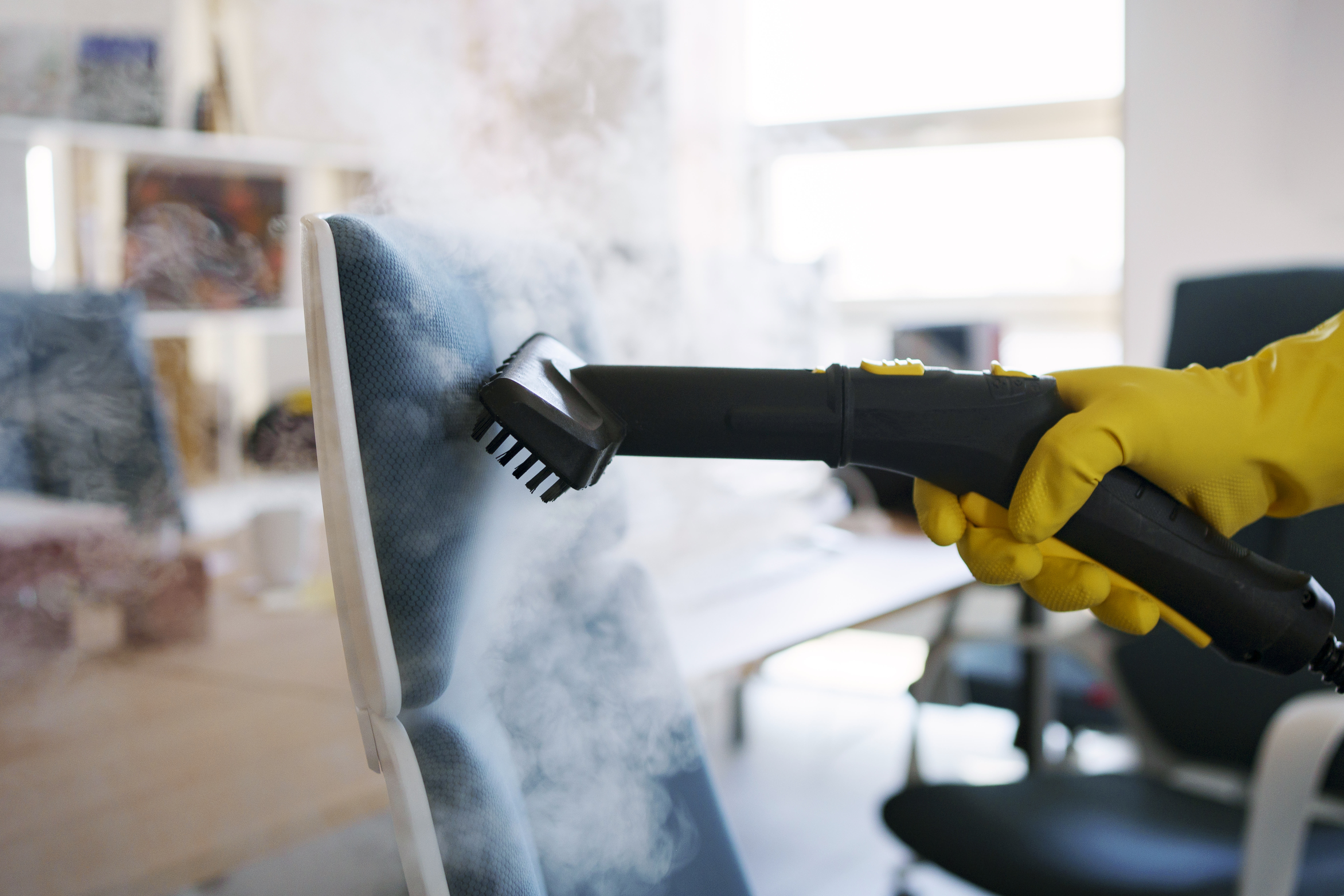 Steam Cleaning Services