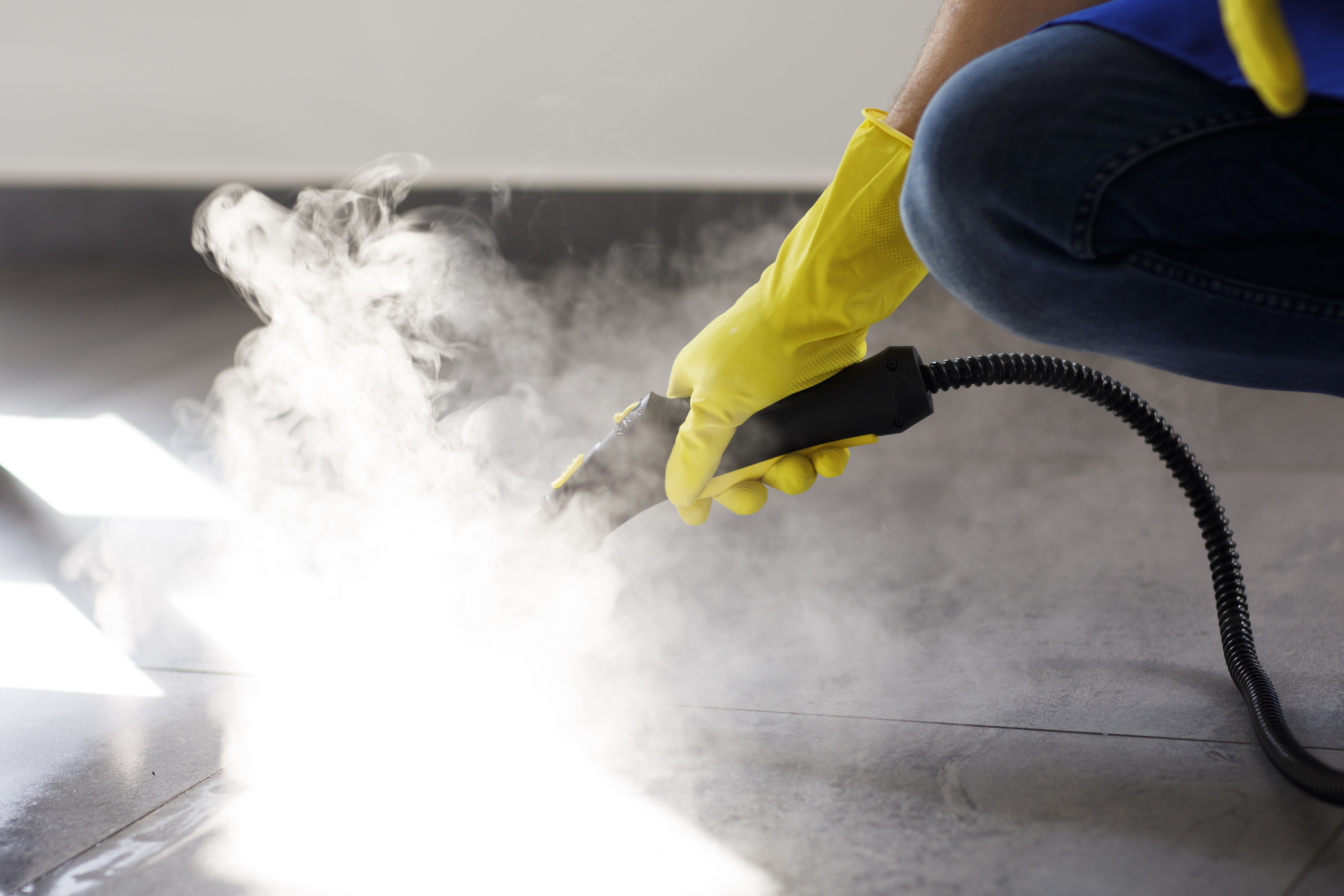 Steam Cleaning Services